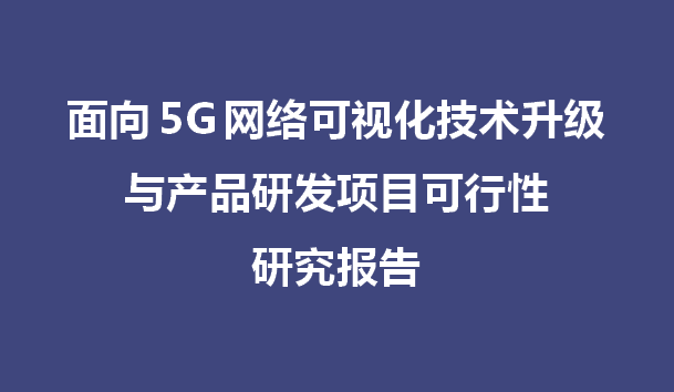 面向5G网络的下一代可视化技术升级与产品研发项目可行性研究报告